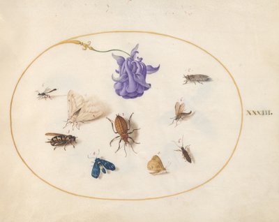 Insects, c.1575-80 by Joris Hoefnagel