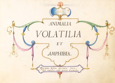 Title Page by Joris Hoefnagel