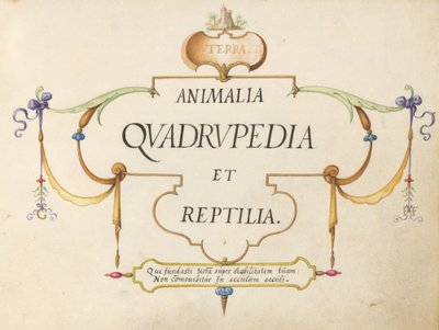 Title Page by Joris Hoefnagel
