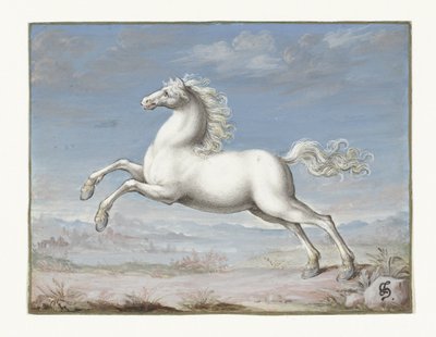 White horse by Joris Hoefnagel