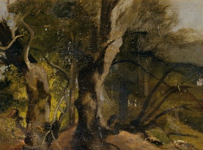 Forest Study by Josef Navrátil