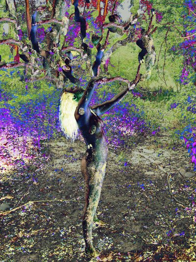 Blue Tree by Joseph Angilella Auquier