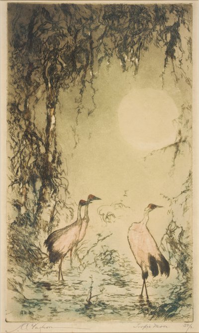 Tropic Moon by Joseph C. Claghorn