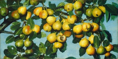 Ripening Pears by Joseph Decker