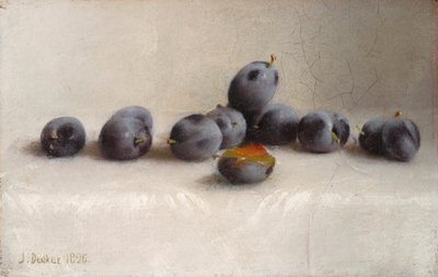 Twelve Plums by Joseph Decker
