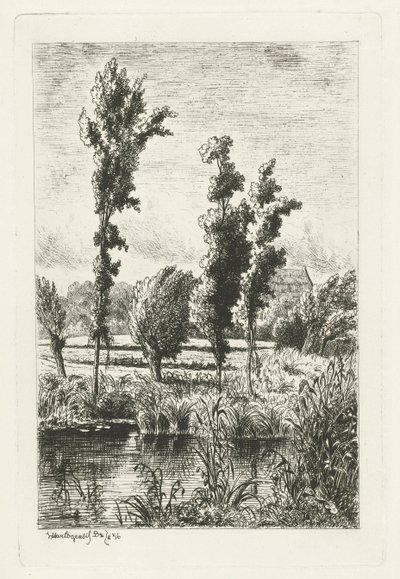 Trees by a Ditch by Joseph Hartogensis