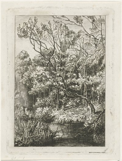 Forest View by Joseph Hartogensis