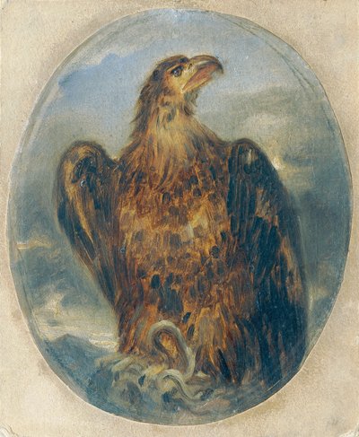 Eagle by Joseph Hasslwander