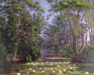 River Cherwell Waterlilies, 1851 by Joseph Mallord William Turner