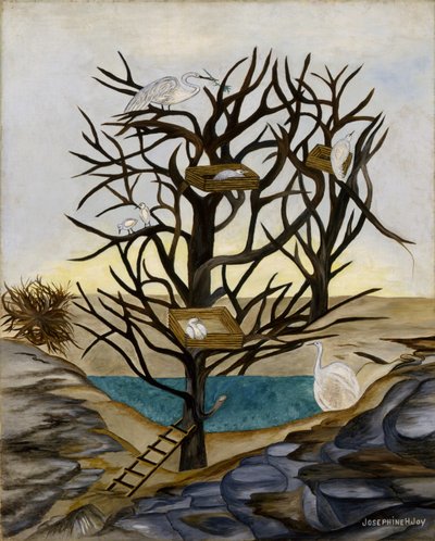 Waterbirds Nesting by Josephine Joy
