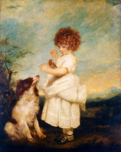 Master Philip Yorke, later Viscount Royston by Joshua Reynolds