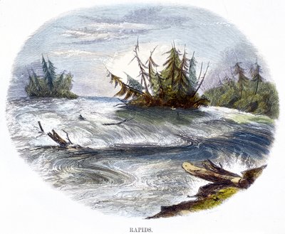 Rapids, from Phenomena of Nature by Josiah Wood Whymper