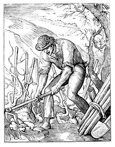 The Winegrower by Jost (after) Amman