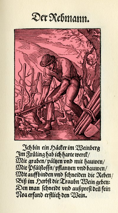 The Winegrower by Jost (after) Amman