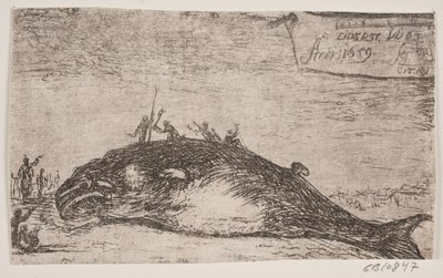 A Whale Stranded at Eiderstedt by Jürgen Ovens