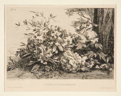 Peonies and Rhododendrons by Jules Ferdinand Jacquemart