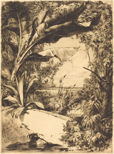 Greenhouse Plants by Jules Ferdinand Jacquemart
