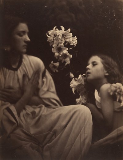 A Study by Julia Margaret Cameron