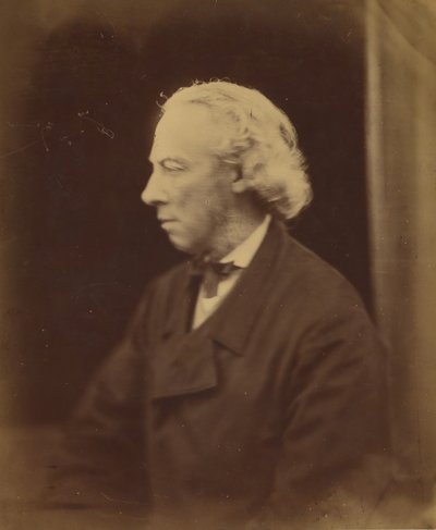 Aubrey de Vere, 1866-68 by Julia Margaret Cameron
