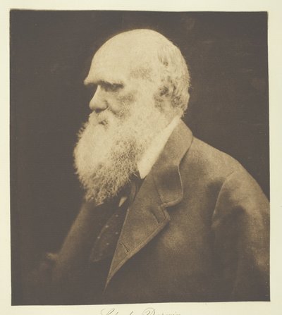Charles Darwin by Julia Margaret Cameron
