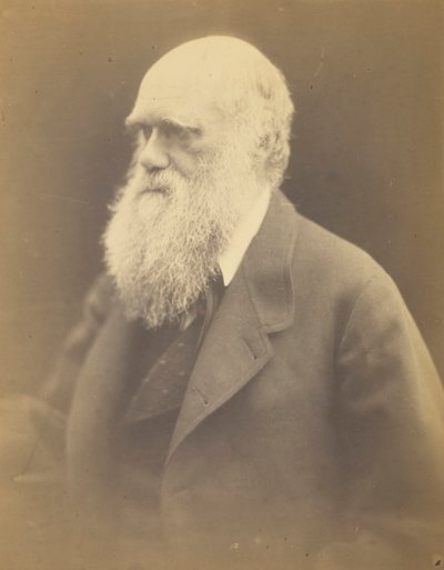 Charles Darwin by Julia Margaret Cameron