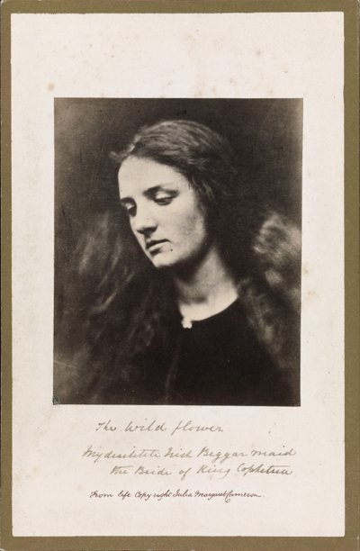 The Wild Flower by Julia Margaret Cameron