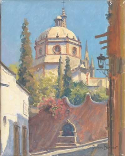 San Miguel Allende by Julian Barrow
