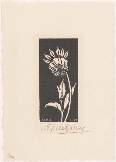 Dahlia by Julie de Graag (signed by artist)