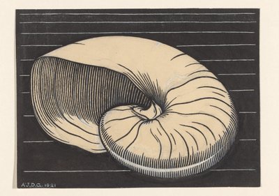 Nautilus Shell by Julie de Graag (signed by artist)