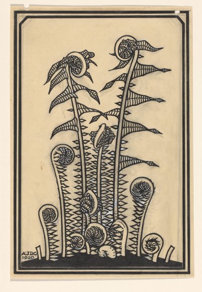 Ferns by Julie de Graag (signed by artist)