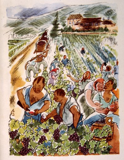 French Vineyard. 1944. Illustration by Julien Pavil by Julien Pavil