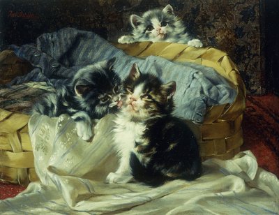 Playful Kittens by Julius Adam