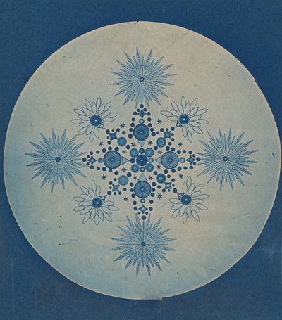 Frustules of Diatoms, ca. 1870 by Julius Wiesner.