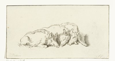 Three Lying Pigs by Jurriaan Cootwijck