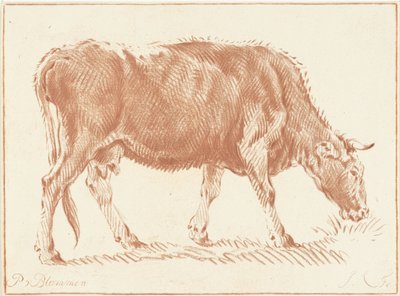 Grazing Cow by Jurriaan Cootwijck