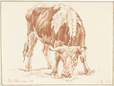 Grazing Ox by Jurriaan Cootwijck