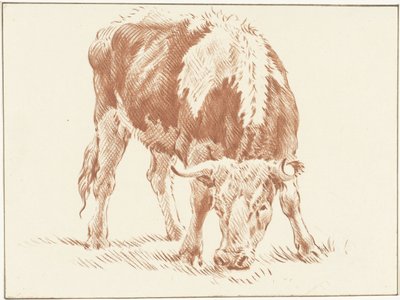 Grazing Ox by Jurriaan Cootwijck