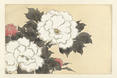 Peonies by Kamisaka Sekka