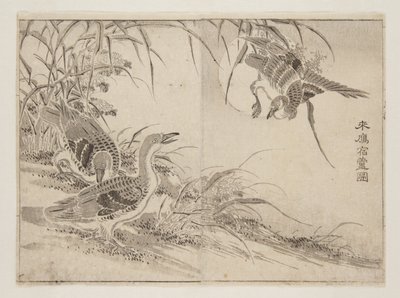 Geese living in Reeds by Kanyosai Kanyosai