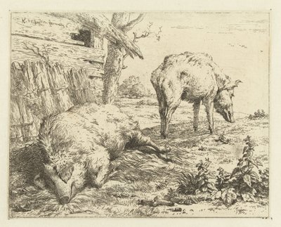 Two Swine by Karel Du Jardin