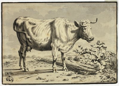 Cow by Karel Dujardin
