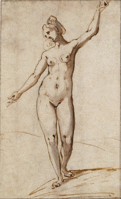 Female Nude by Karel Van Mander
