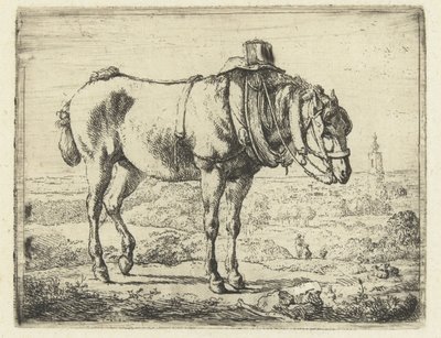 Horse harnessed as a workhorse by Karel du Jardin (possibly)