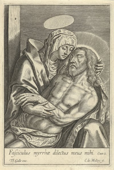 Pietà by Karel van Mallery