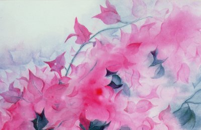 Bougainvillia by Karen Armitage