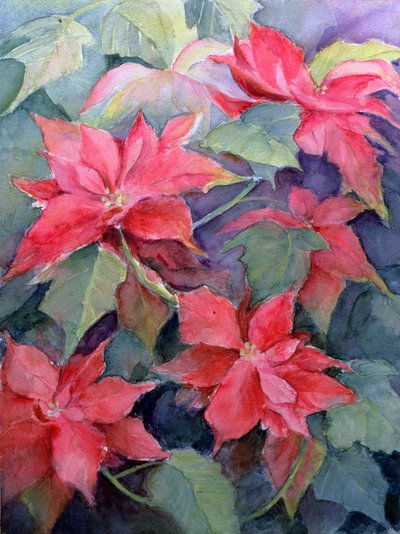 Poinsettia by Karen Armitage