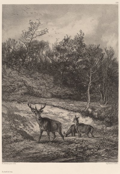 By the Water by Karl Bodmer