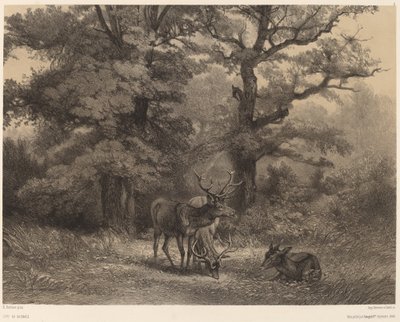 Deer in the Pasture by Karl Bodmer