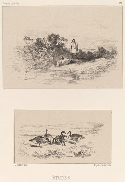 Studies by Karl Bodmer