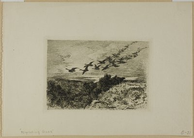 Flying Geese by Karl Bodmer